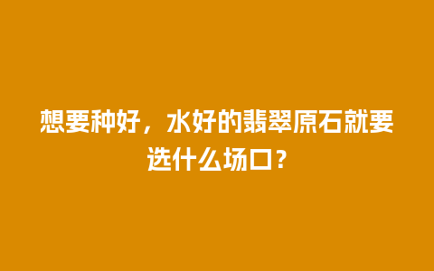 想要种好，水好的翡翠原石就要选什么场口？