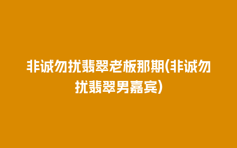 非诚勿扰翡翠老板那期(非诚勿扰翡翠男嘉宾)