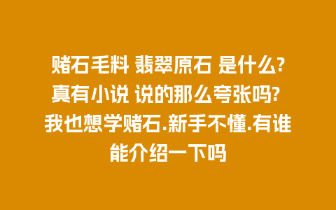 赌石毛料 翡翠原石 是什么?真有小说 说的那么夸张吗? 我也想学赌石.新手不懂.有谁能介绍一下吗