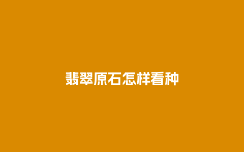 翡翠原石怎样看种