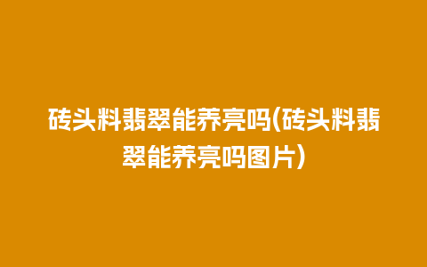 砖头料翡翠能养亮吗(砖头料翡翠能养亮吗图片)