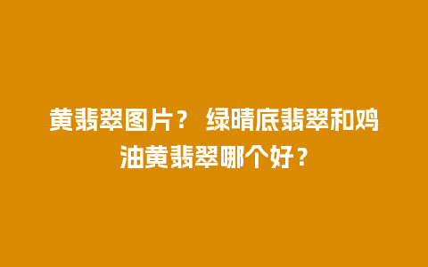 黄翡翠图片？ 绿晴底翡翠和鸡油黄翡翠哪个好？