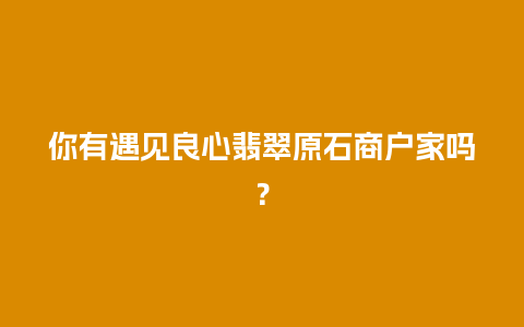 你有遇见良心翡翠原石商户家吗？