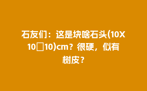 石友们：这是块啥石头(10X10Ⅹ10)cm？很硬，似有树皮？