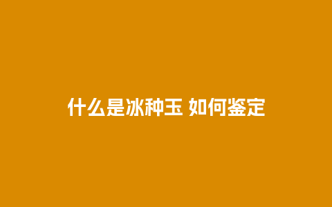 什么是冰种玉 如何鉴定