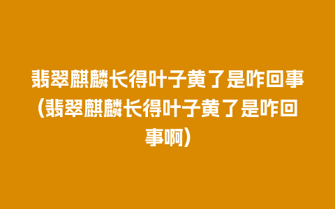 翡翠麒麟长得叶子黄了是咋回事(翡翠麒麟长得叶子黄了是咋回事啊)