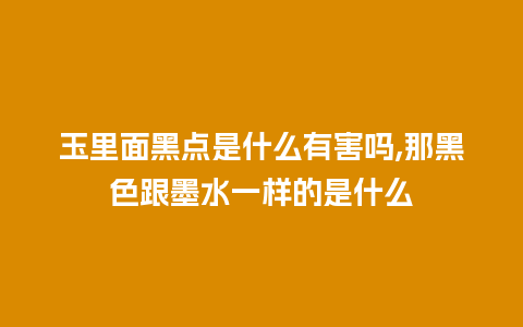 玉里面黑点是什么有害吗,那黑色跟墨水一样的是什么