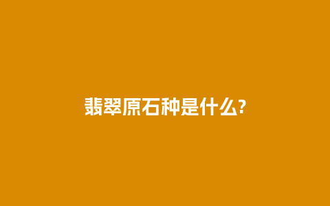 翡翠原石种是什么?