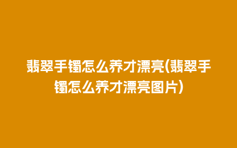 翡翠手镯怎么养才漂亮(翡翠手镯怎么养才漂亮图片)