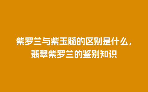 紫罗兰与紫玉髓的区别是什么，翡翠紫罗兰的鉴别知识