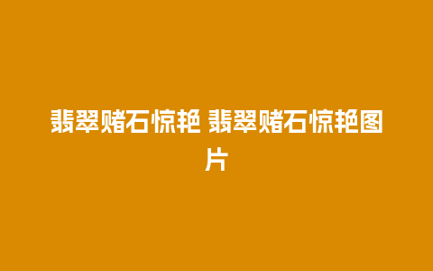 翡翠赌石惊艳 翡翠赌石惊艳图片