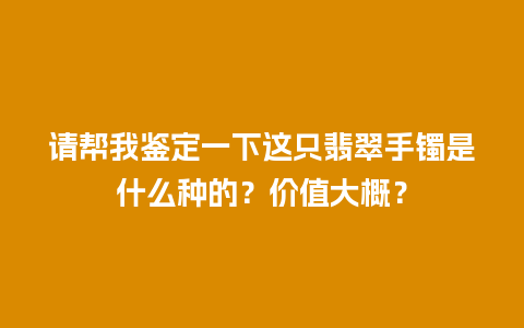 请帮我鉴定一下这只翡翠手镯是什么种的？价值大概？