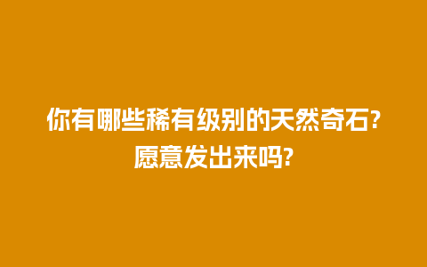 你有哪些稀有级别的天然奇石?愿意发出来吗?