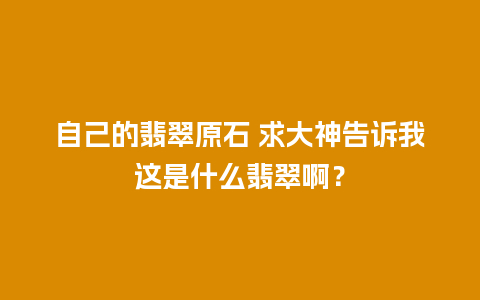 自己的翡翠原石 求大神告诉我这是什么翡翠啊？