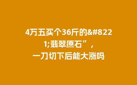 4万五买个36斤的”翡翠原石”，一刀切下后能大涨吗