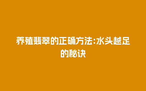 养殖翡翠的正确方法:水头越足的秘诀