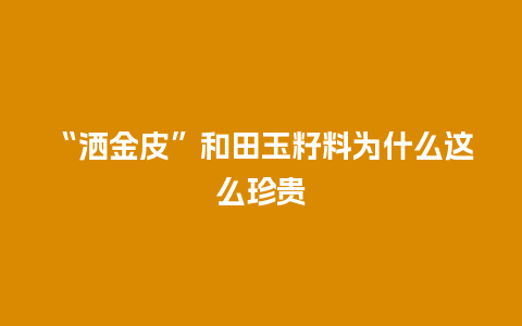 “洒金皮”和田玉籽料为什么这么珍贵