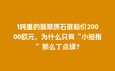 1吨重的翡翠原石底标价20000欧元，为什么只有“小拇指”那么丁点绿？