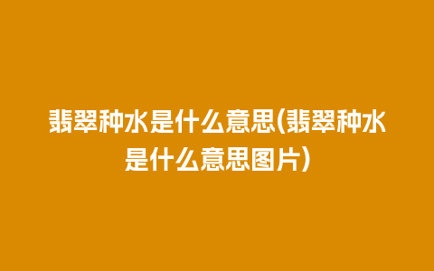 翡翠种水是什么意思(翡翠种水是什么意思图片)