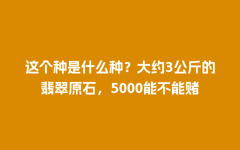 这个种是什么种？大约3公斤的翡翠原石，5000能不能赌