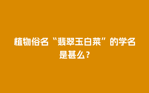 植物俗名“翡翠玉白菜”的学名是甚么？