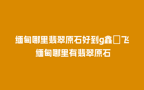 缅甸哪里翡翠原石好到g鑫劦飞 缅甸哪里有翡翠原石