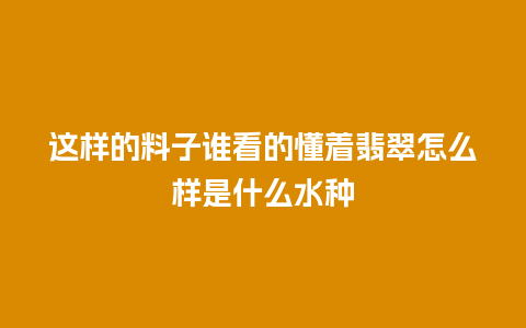这样的料子谁看的懂着翡翠怎么样是什么水种