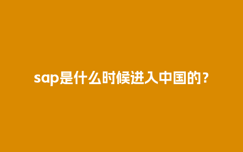 sap是什么时候进入中国的？