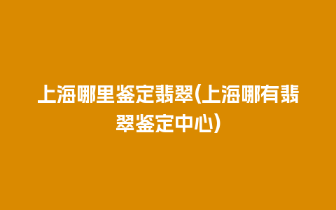 上海哪里鉴定翡翠(上海哪有翡翠鉴定中心)
