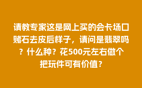 请教专家这是网上买的会卡场囗赌石去皮后样子，请问是翡翠吗？什么种？花500元左右做个把玩件可有价值？