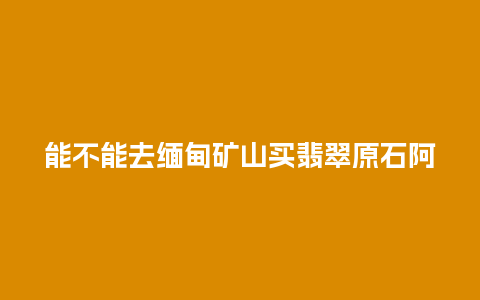 能不能去缅甸矿山买翡翠原石阿