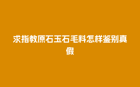 求指教原石玉石毛料怎样鉴别真假