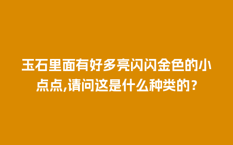 玉石里面有好多亮闪闪金色的小点点,请问这是什么种类的？