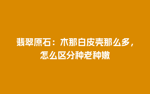翡翠原石：木那白皮壳那么多，怎么区分种老种嫩