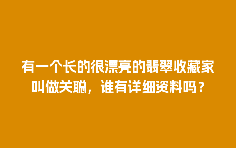 有一个长的很漂亮的翡翠收藏家叫做关聪，谁有详细资料吗？