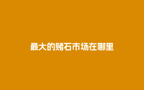 最大的赌石市场在哪里