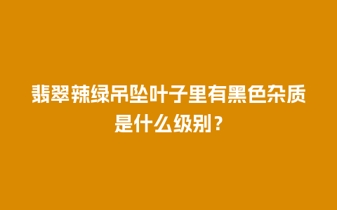 翡翠辣绿吊坠叶子里有黑色杂质是什么级别？