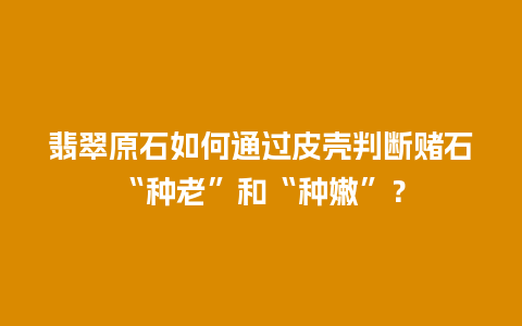 翡翠原石如何通过皮壳判断赌石“种老”和“种嫩”？