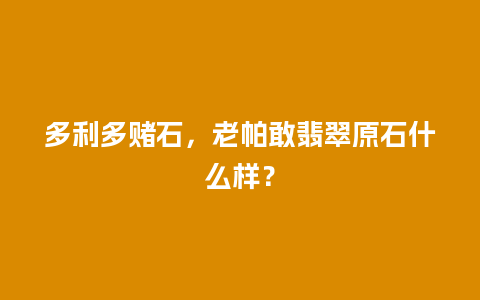 多利多赌石，老帕敢翡翠原石什么样？