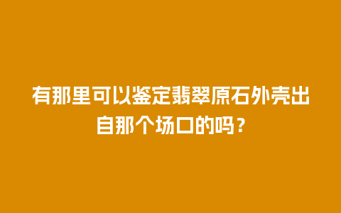 有那里可以鉴定翡翠原石外壳出自那个场口的吗？