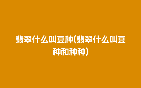 翡翠什么叫豆种(翡翠什么叫豆种和种种)