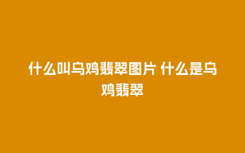 什么叫乌鸡翡翠图片 什么是乌鸡翡翠