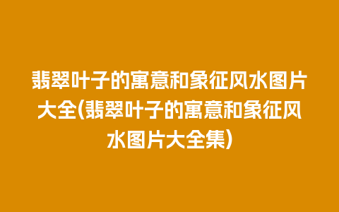 翡翠叶子的寓意和象征风水图片大全(翡翠叶子的寓意和象征风水图片大全集)