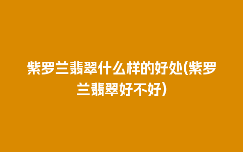 紫罗兰翡翠什么样的好处(紫罗兰翡翠好不好)