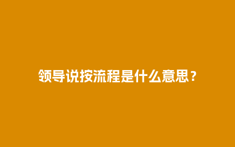 领导说按流程是什么意思？