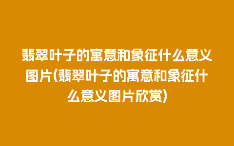 翡翠叶子的寓意和象征什么意义图片(翡翠叶子的寓意和象征什么意义图片欣赏)