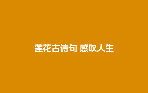 莲花古诗句 感叹人生