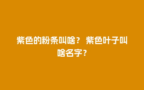 紫色的粉条叫啥？ 紫色叶子叫啥名字？