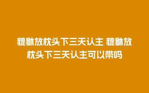 貔貅放枕头下三天认主 貔貅放枕头下三天认主可以带吗