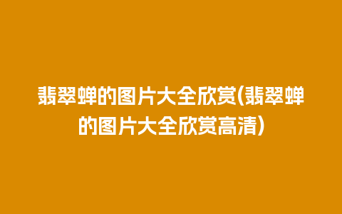 翡翠蝉的图片大全欣赏(翡翠蝉的图片大全欣赏高清)